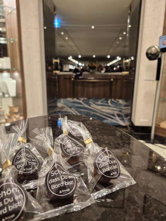 Tricept-Firmenveranstaltung auf der MS Anesha: Drei Tage voller Teamgeist, Austausch und Spirit